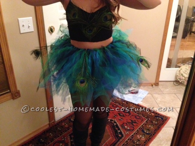 Cool Peacock Tutu and Costume