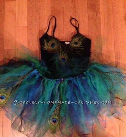 Cool Peacock Tutu and Costume