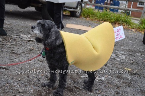 Poo-Ping Chinese Restaurant Group Costume!