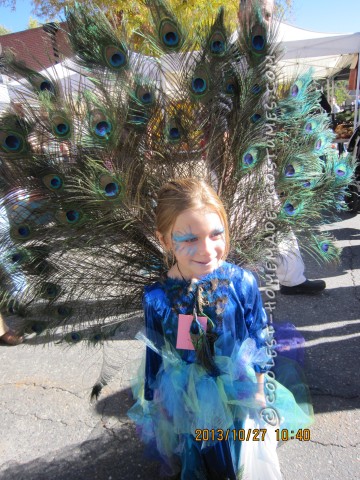 Prettiest Crowd-Stopping Peacock Costume for a Girl