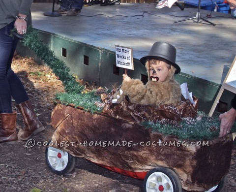 Punxsutawney Phil Groundhog Costume for a Toddler