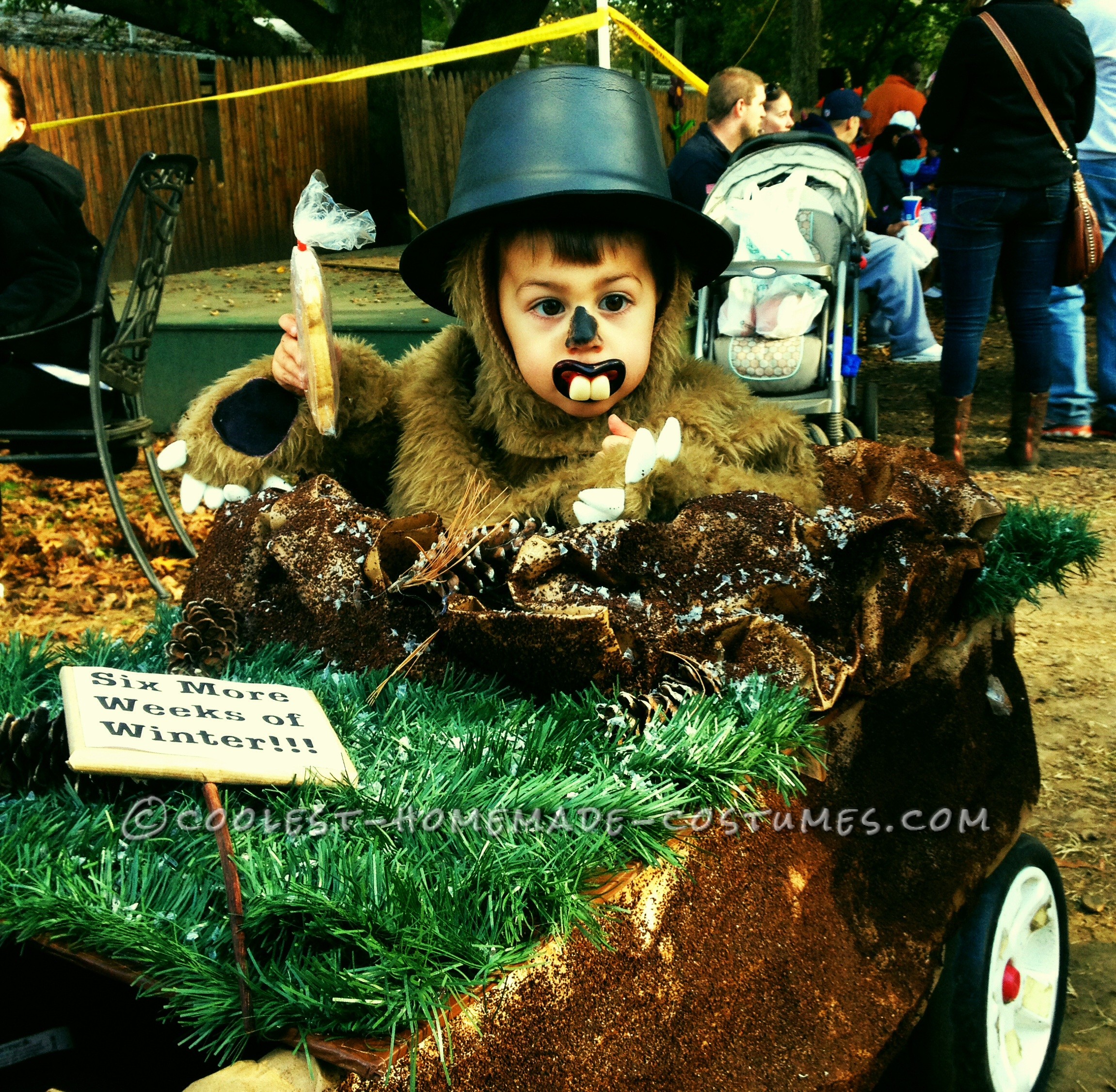 Punxsutawney Phil Groundhog Costume for a Toddler