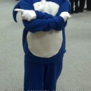 Cool Sonic the Hedgehog DIY Halloween Costume