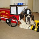 Fire Pawtrol Costume for Snowplow our Dog