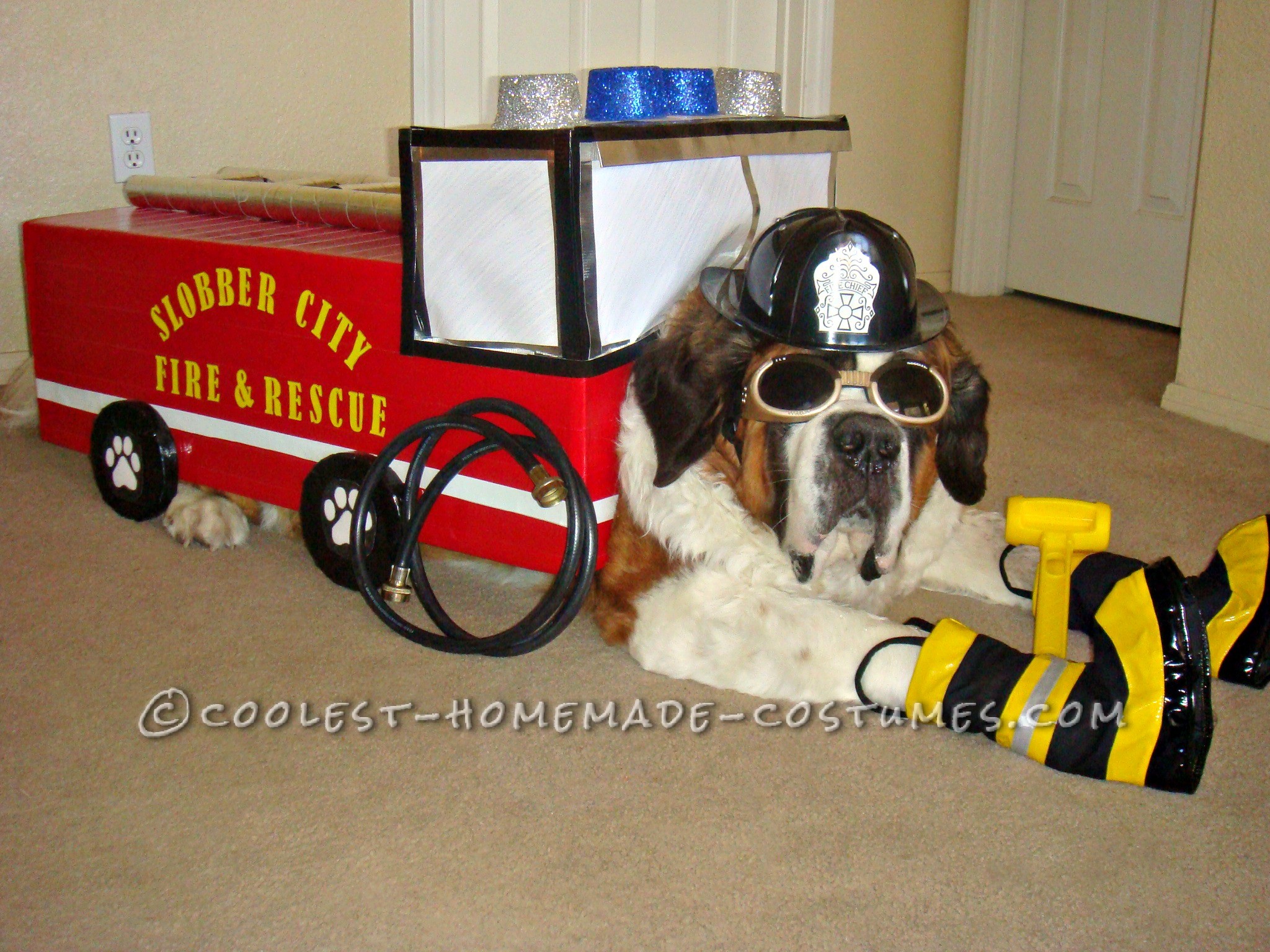 Fire Pawtrol Costume for Snowplow our Dog