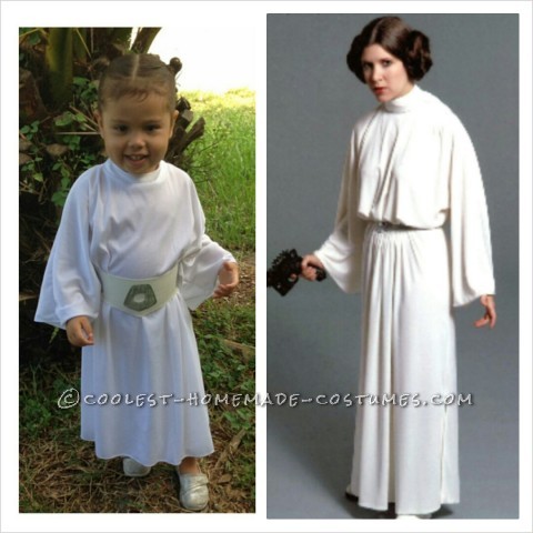 Homemade Star Wars Family Costumes