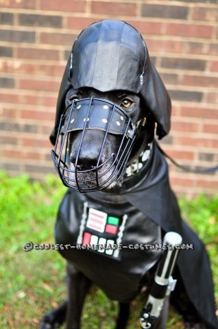 Star Wars Dog Costumes: The Canines Strike Back