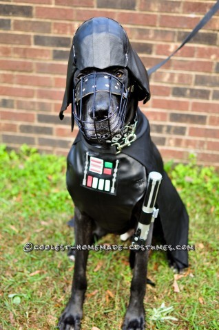 Star Wars Dog Costumes: The Canines Strike Back