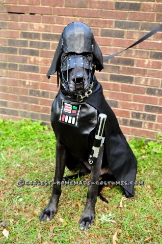 Star Wars Dog Costumes: The Canines Strike Back