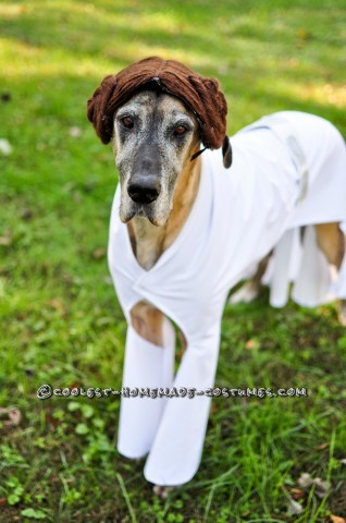 Star Wars Dog Costumes: The Canines Strike Back