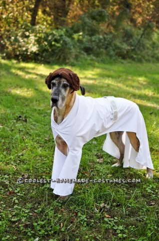 Star Wars Dog Costumes: The Canines Strike Back