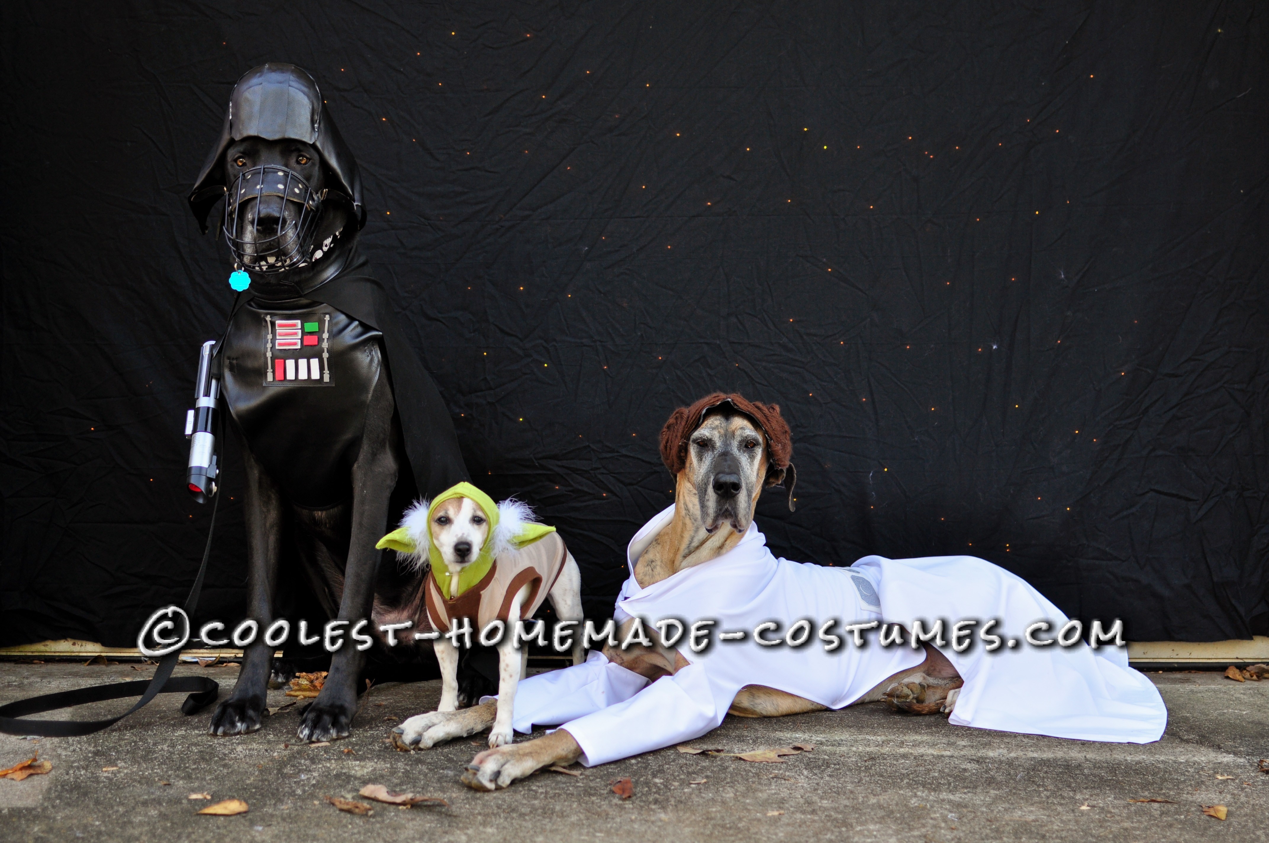 Star Wars Dog Costumes: The Canines Strike Back