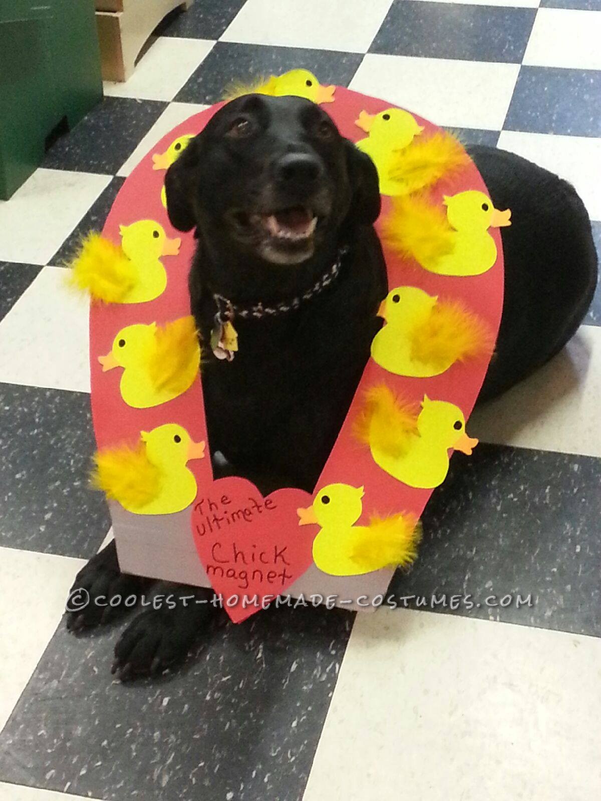 Funny Dog Costume Idea: Chick Magnet