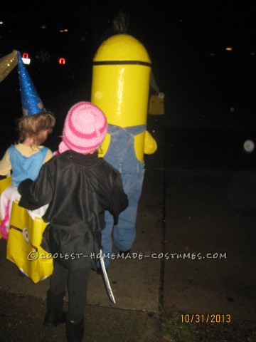Coolest Despicable Me Family Costume