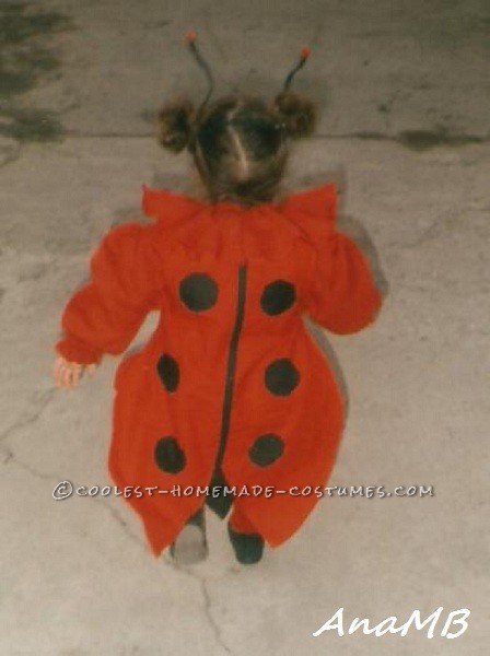 Cuttest Homemade Ladybug Toddler Costume