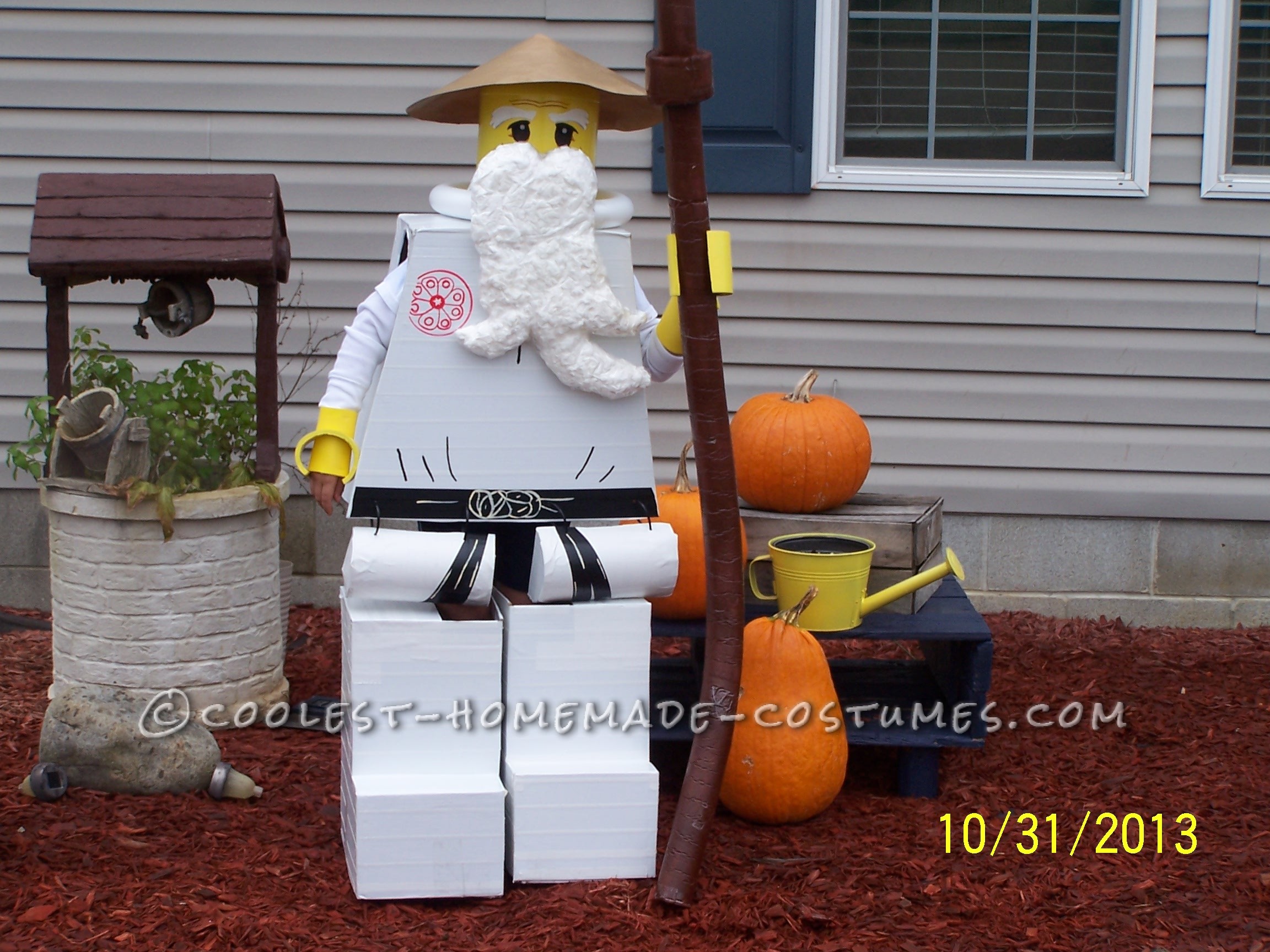 The Happiest Ninjago Sensa Wu Costume