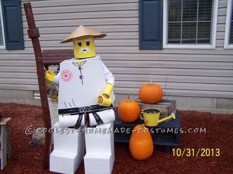 The Happiest Ninjago Sensa Wu Costume