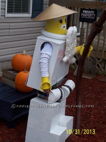 The Happiest Ninjago Sensa Wu Costume