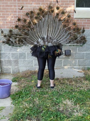 Majestic Peacock Costume