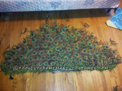 Majestic Peacock Costume