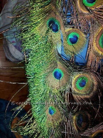 Majestic Peacock Costume