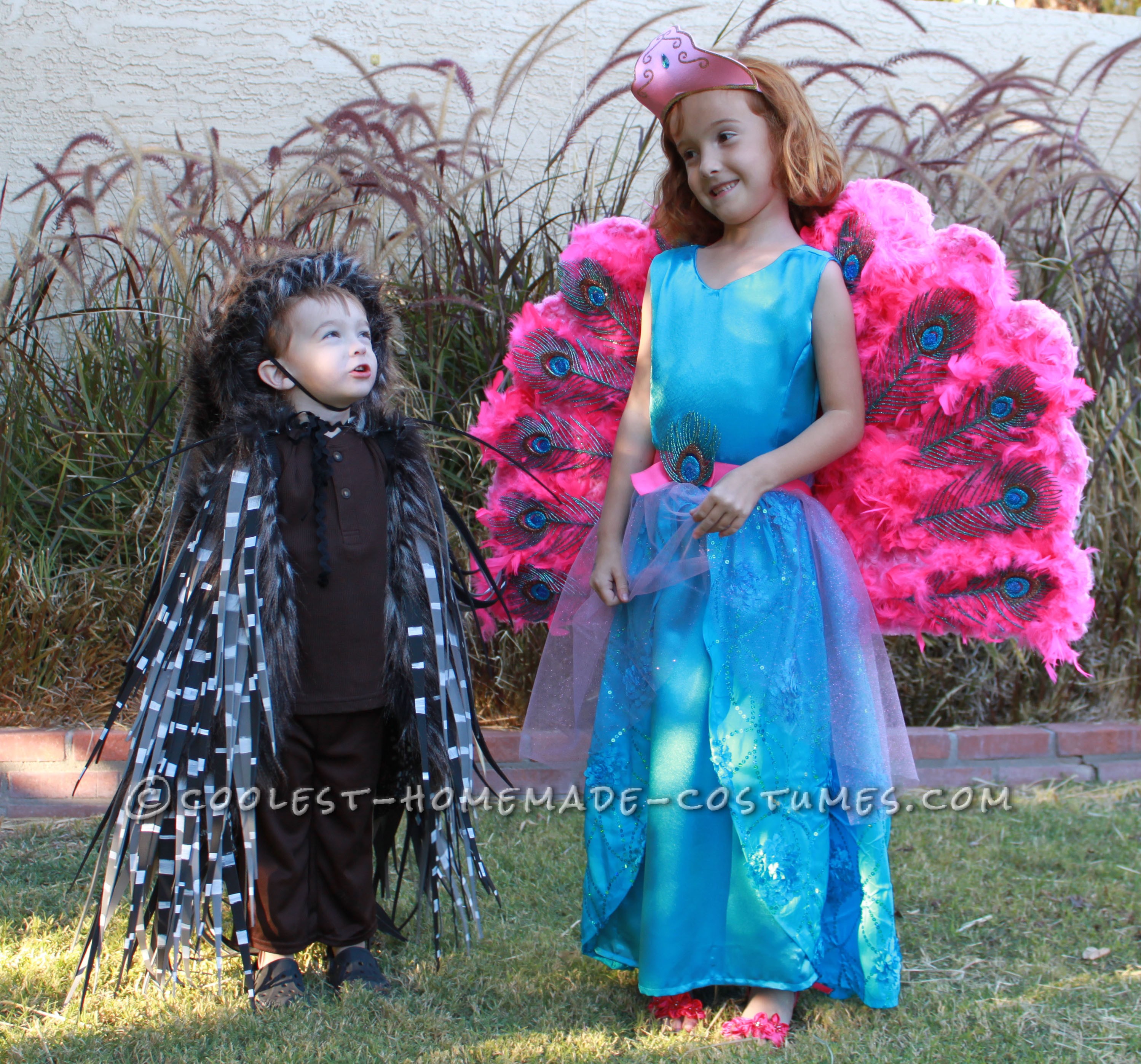 Barbie The Island Princess Doll Costume and a Prickly Porcupine Costume