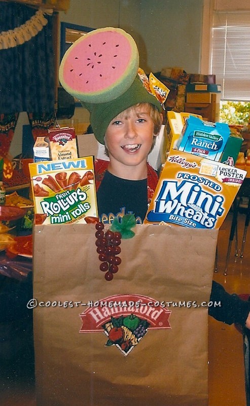 Creative Grocery Bag Costume Idea