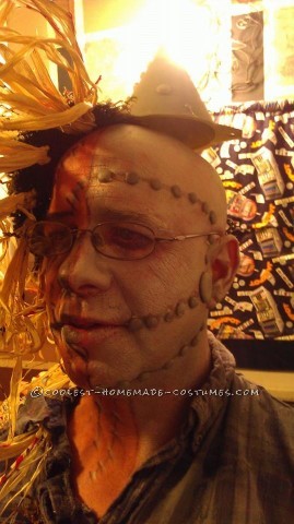 Half Tin Man Half Scarecrow Costume