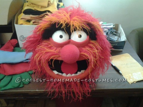 Electric Mayhem Muppets Group Costume