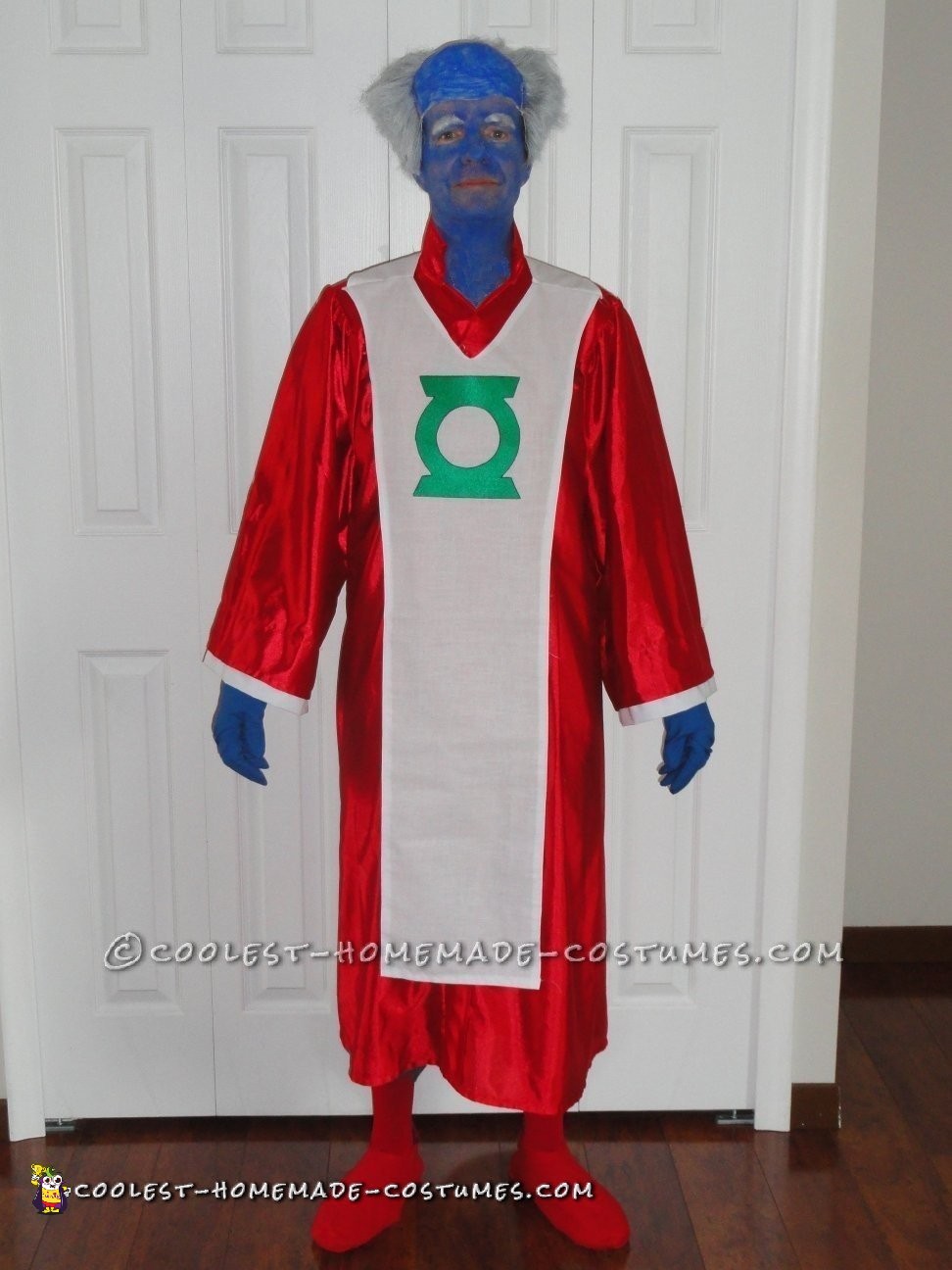 Cool Homemade Guardians of the Universe Costume