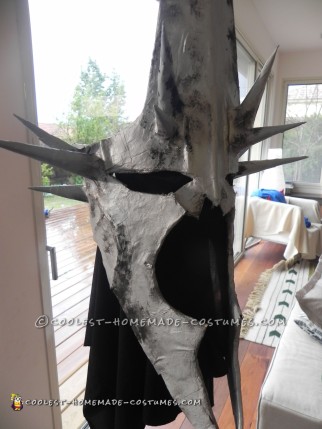 Cool Witch King Costume