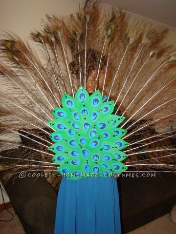 Coolest Girls' Peacock Costume and Face Paint