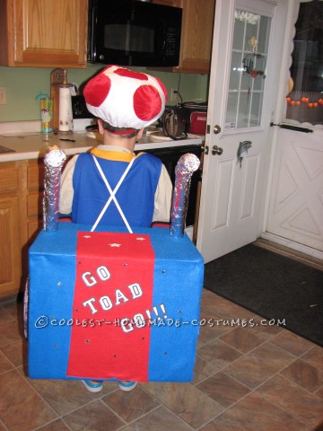 Cool Mario Bros. Toad Racing Kart Costume