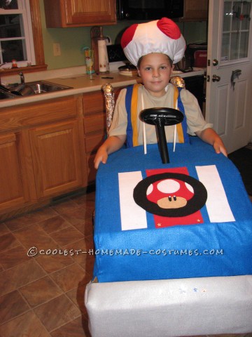 Cool Mario Bros. Toad Racing Kart Costume