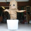 Groovin' Groot Costume