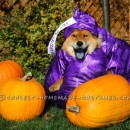 Hershey's Dark "Chow"colate Kiss Costume for a Dog