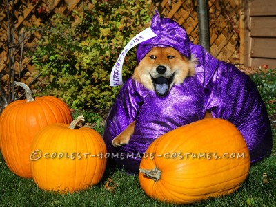 Hershey's Dark "Chow"colate Kiss Costume for a Dog