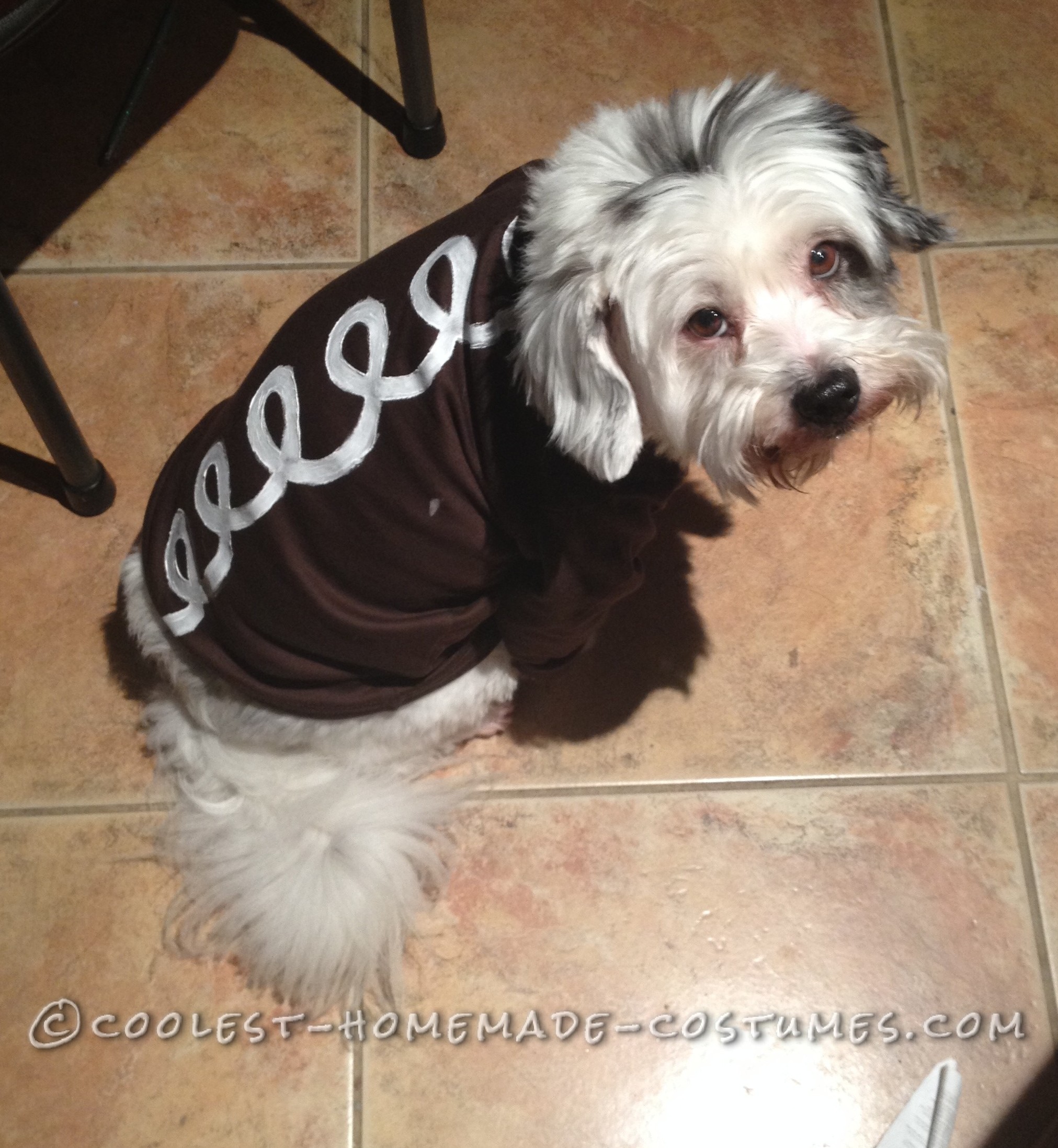 Hostess Cupcake Dog Costume