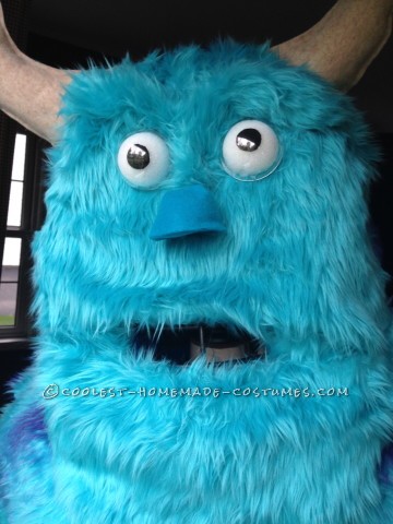 Monsters Inc Family Costume