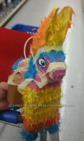 Cool Baby Pinata Costume