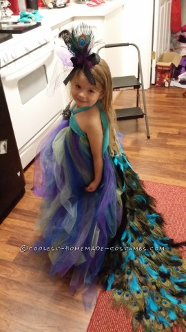 Lovely Homemade Toddler Peacock Costume