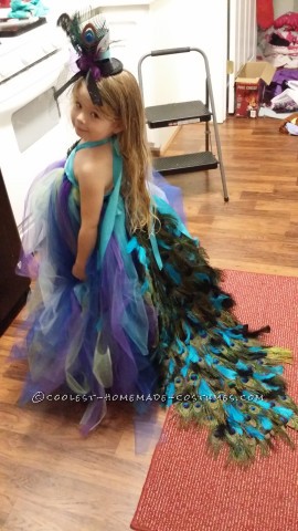 Lovely Homemade Toddler Peacock Costume