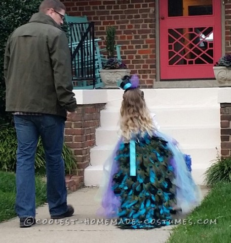 Lovely Homemade Toddler Peacock Costume