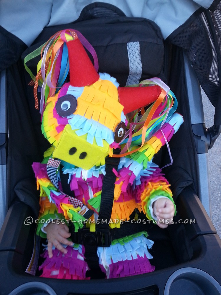 Cool Baby Pinata Costume