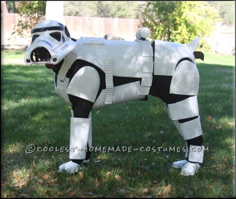 Awesome Stormtrooper Costume for a Dog