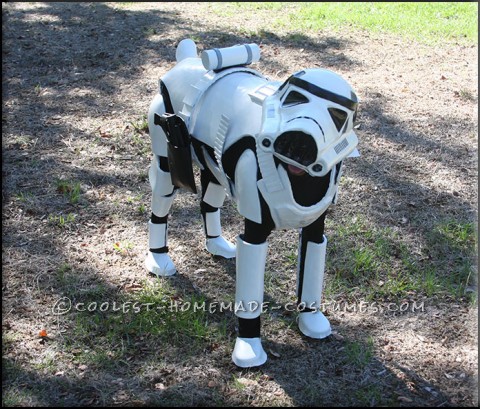 Awesome Stormtrooper Costume for a Dog