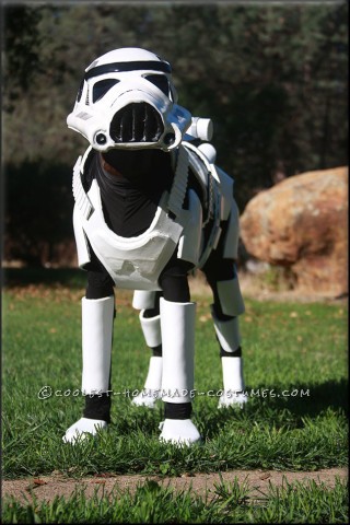 Awesome Stormtrooper Costume for a Dog