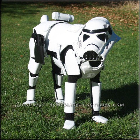 Awesome Stormtrooper Costume for a Dog