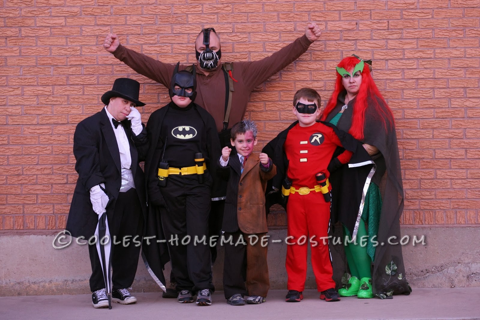 Cool Batman, Robin and Villain Family Costumes