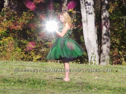 Beautiful Tween Fairy Costume